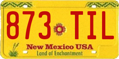 NM license plate 873TIL