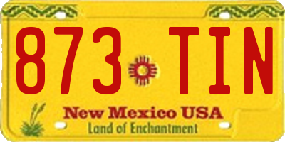 NM license plate 873TIN