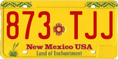 NM license plate 873TJJ