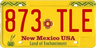 NM license plate 873TLE