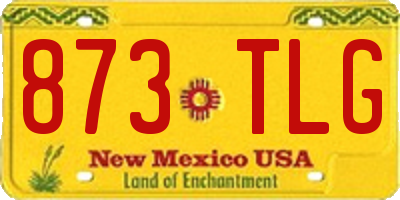 NM license plate 873TLG