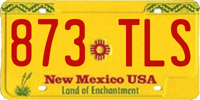 NM license plate 873TLS