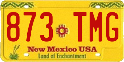 NM license plate 873TMG