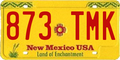 NM license plate 873TMK