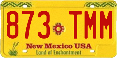 NM license plate 873TMM