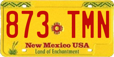 NM license plate 873TMN