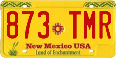 NM license plate 873TMR