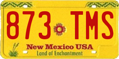 NM license plate 873TMS