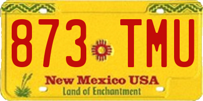 NM license plate 873TMU