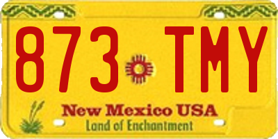 NM license plate 873TMY