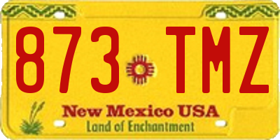NM license plate 873TMZ