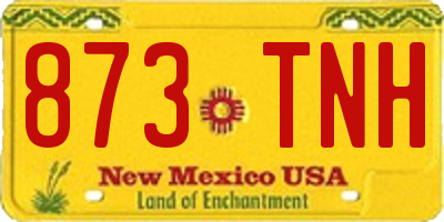 NM license plate 873TNH