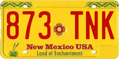 NM license plate 873TNK