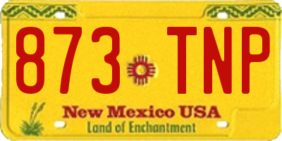 NM license plate 873TNP