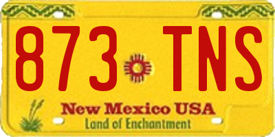 NM license plate 873TNS
