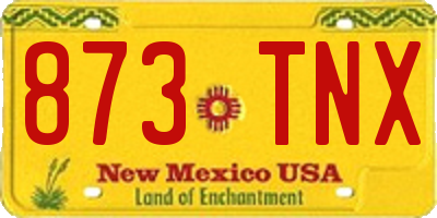 NM license plate 873TNX