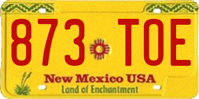 NM license plate 873TOE