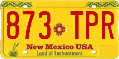 NM license plate 873TPR