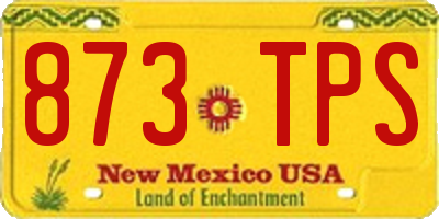 NM license plate 873TPS