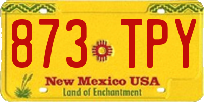 NM license plate 873TPY