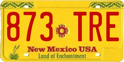 NM license plate 873TRE