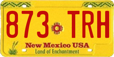 NM license plate 873TRH