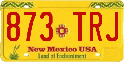 NM license plate 873TRJ