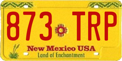 NM license plate 873TRP