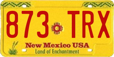 NM license plate 873TRX