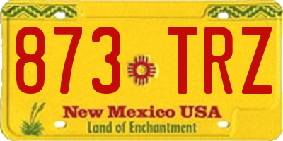NM license plate 873TRZ