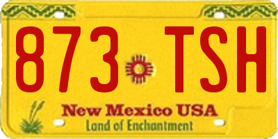 NM license plate 873TSH