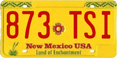 NM license plate 873TSI