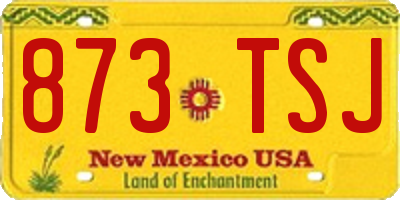 NM license plate 873TSJ