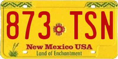NM license plate 873TSN