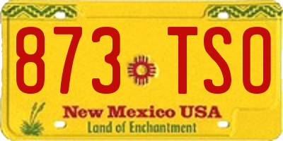NM license plate 873TSO