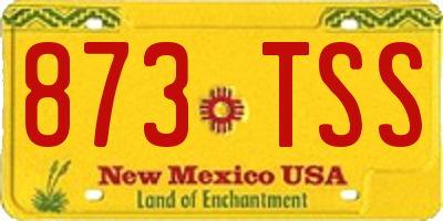 NM license plate 873TSS