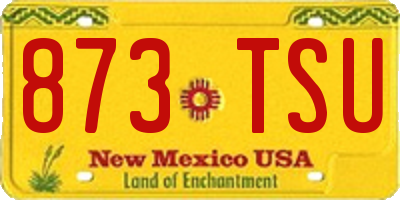 NM license plate 873TSU