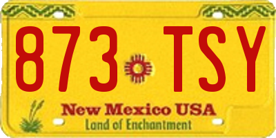 NM license plate 873TSY