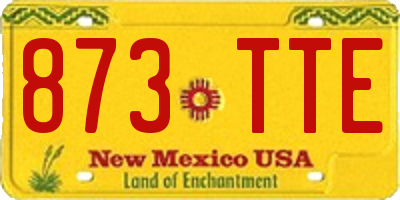 NM license plate 873TTE