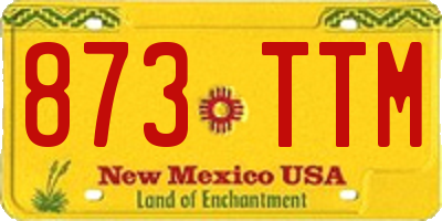 NM license plate 873TTM