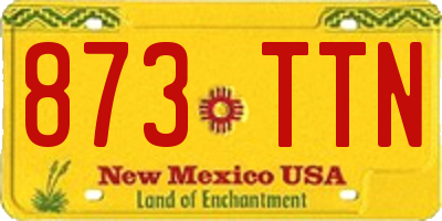 NM license plate 873TTN