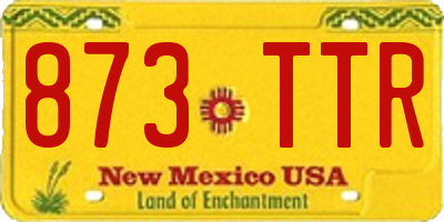 NM license plate 873TTR