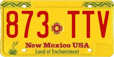 NM license plate 873TTV