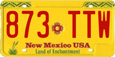 NM license plate 873TTW