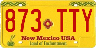NM license plate 873TTY