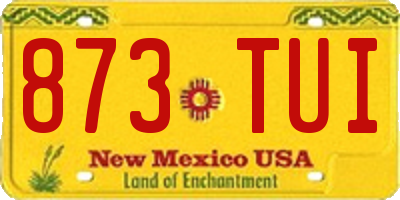 NM license plate 873TUI