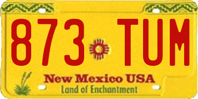 NM license plate 873TUM