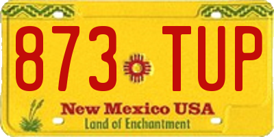 NM license plate 873TUP