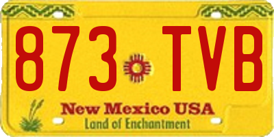 NM license plate 873TVB