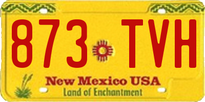 NM license plate 873TVH